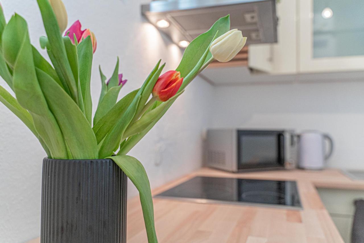 Apartment Wesseling Εξωτερικό φωτογραφία